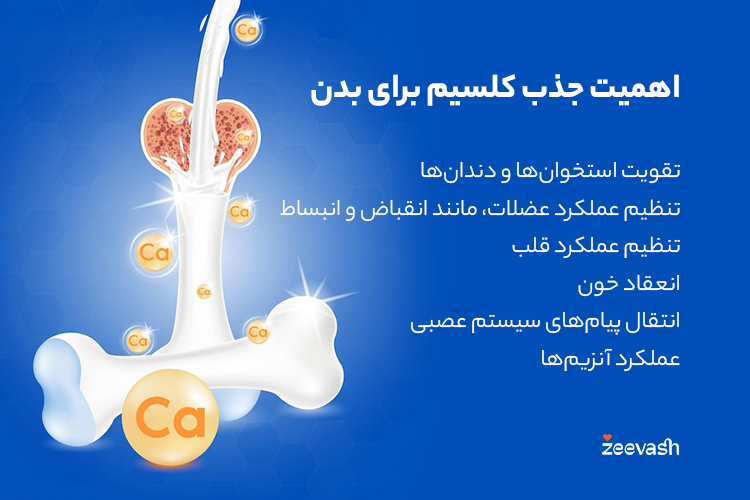 اهمیت جذب کلسیم برای بدن